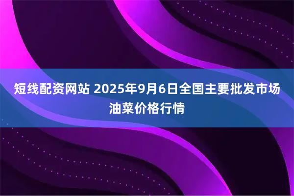 短线配资网站 2025年9月6日全国主要批发市场油菜价格行情
