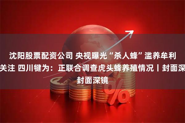 沈阳股票配资公司 央视曝光“杀人蜂”滥养牟利引关注 四川犍为：正联合调查虎头蜂养殖情况丨封面深镜
