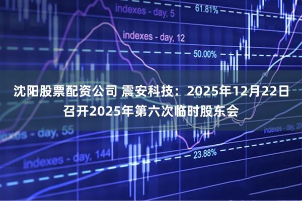 沈阳股票配资公司 震安科技：2025年12月22日召开2025年第六次临时股东会